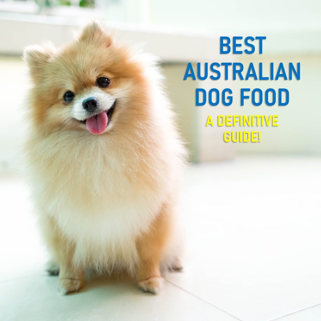 Best Australian Dog Food 2021