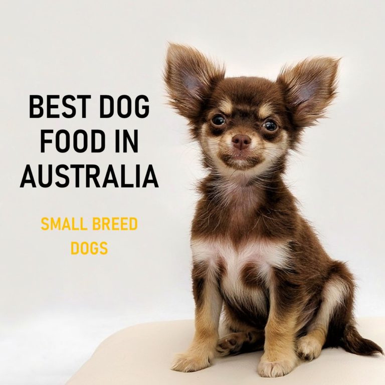 best-dog-food-australia-2021-buyer-s-guide